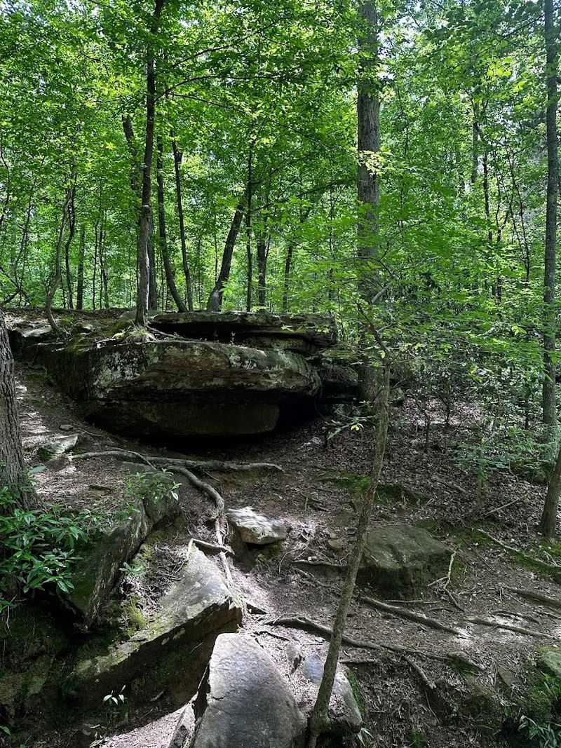 Seven Trails for Seven Different Moods