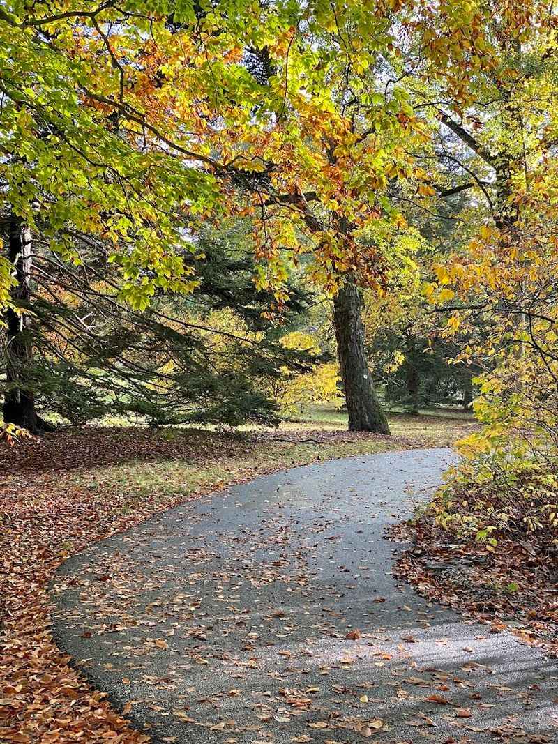 Seventeen Miles of Trails That Cover Every Mood and Fitness Level Seventeen Miles of Trails That Cover Every Mood and Fitness Level