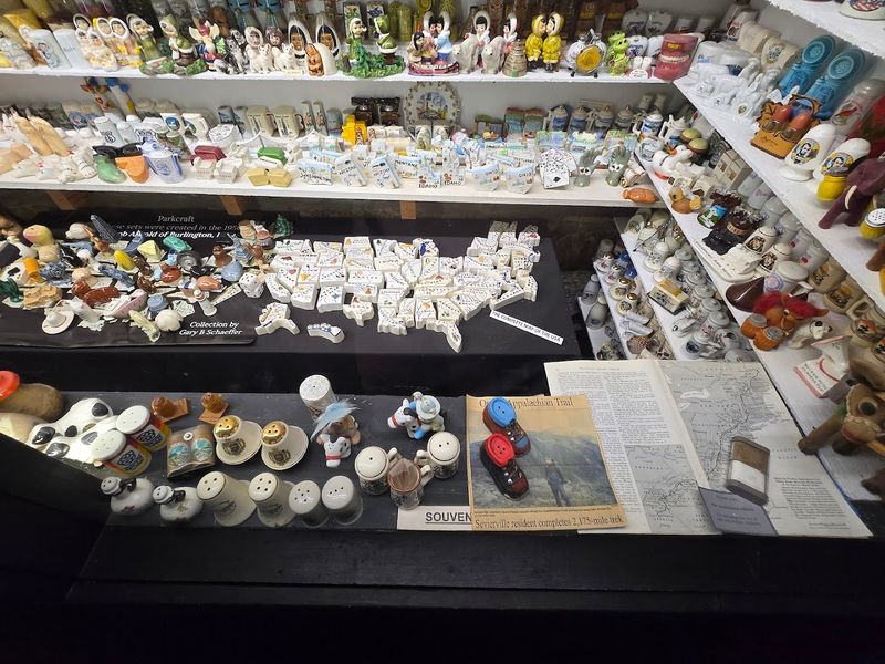 Shakers From Around the World