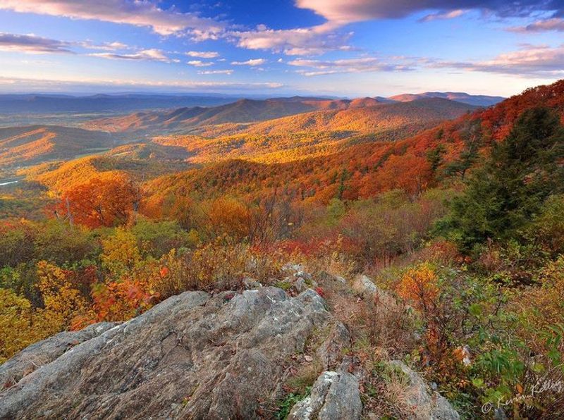 Shenandoah National Park, Luray, Virginia Shenandoah National Park, Luray, Virginia