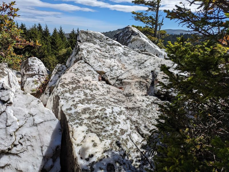 Shining Rock Wilderness Loop — Pisgah National Forest, North Carolina