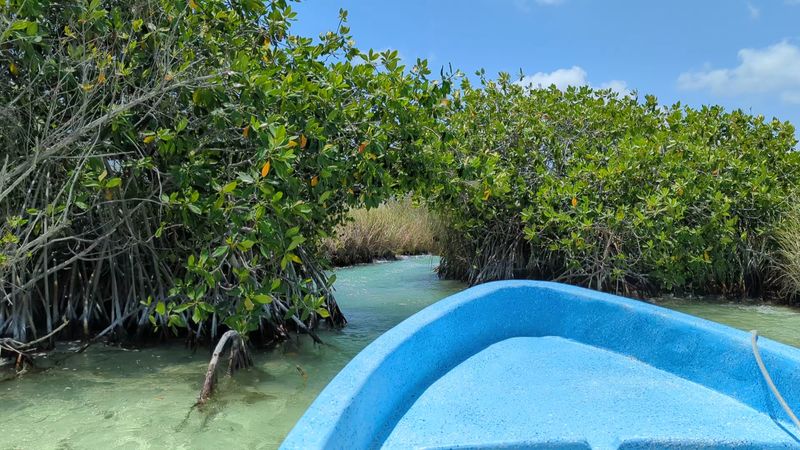 Sian Ka'an Biosphere Reserve, Quintana Roo, Mexico Sian Ka'an Biosphere Reserve, Quintana Roo, Mexico