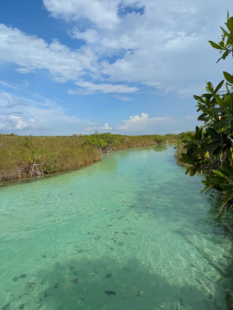 Sian Ka'an Biosphere Reserve, Quintana Roo Sian Ka'an Biosphere Reserve, Quintana Roo