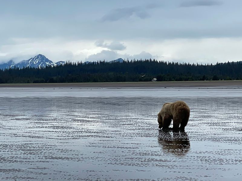 Silver Salmon Creek, Lake Clark National Park, Alaska, USA Silver Salmon Creek, Lake Clark National Park, Alaska, USA