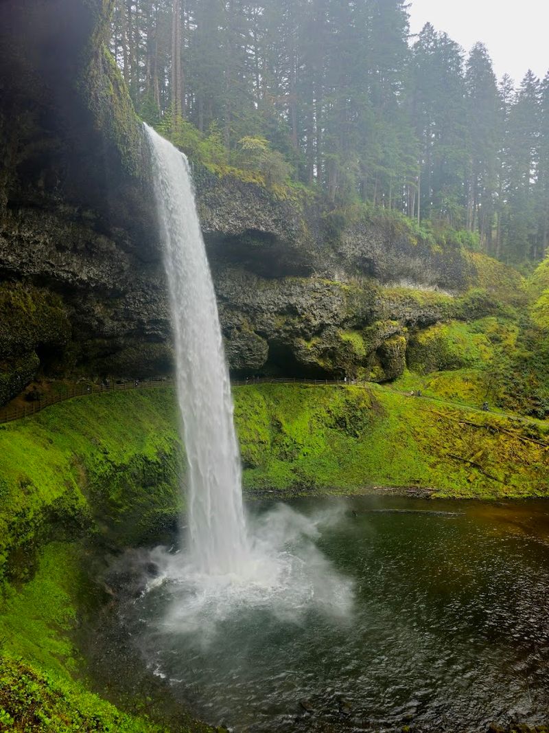 Silverton, Oregon: Silver Falls State Park Silverton, Oregon: Silver Falls State Park