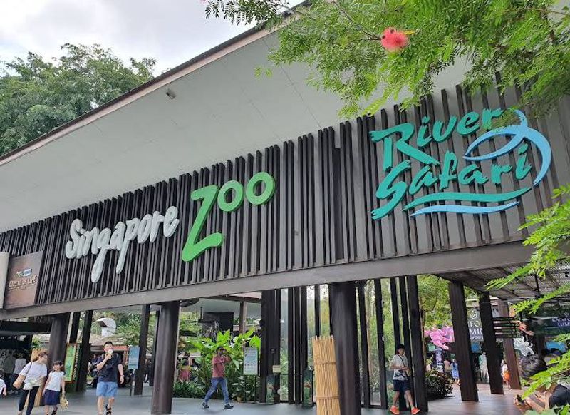 Singapore Zoo - Singapore Singapore Zoo - Singapore