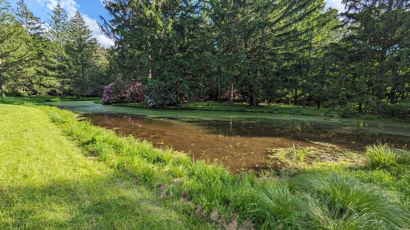 Sixty-Three Acres of Solitude: What the Property Actually Feels Like