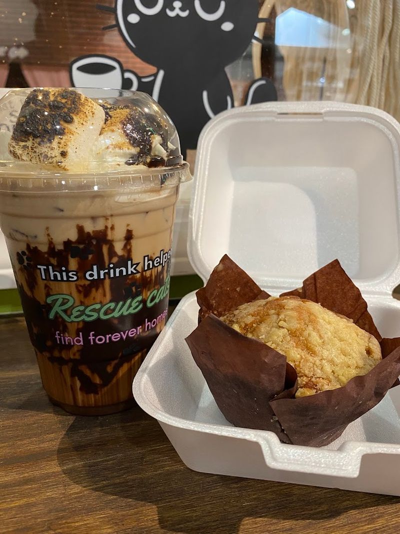 Snacks, Pastries, and a Few Sweet Surprises