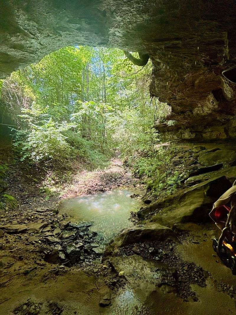 Soaring Over the River and Into a Cave