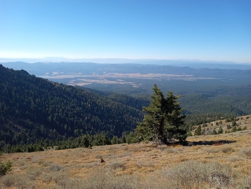 Solitude on the Trail: What Crowds Look Like Here