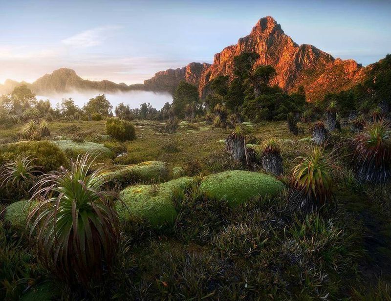 South West Wilderness, Tasmania, Australia South West Wilderness, Tasmania, Australia