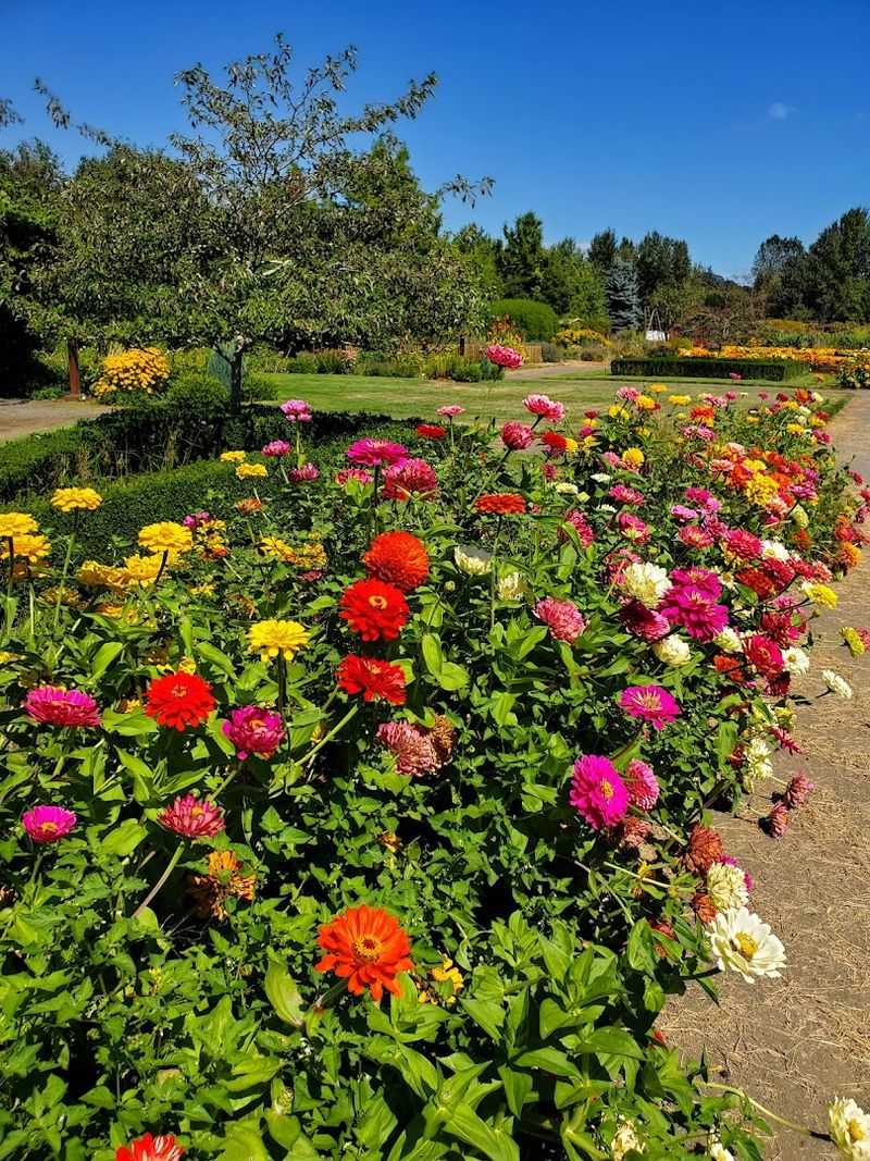 Specialty Garden Sections: Something for Every Kind of Plant Lover Specialty Garden Sections: Something for Every Kind of Plant Lover