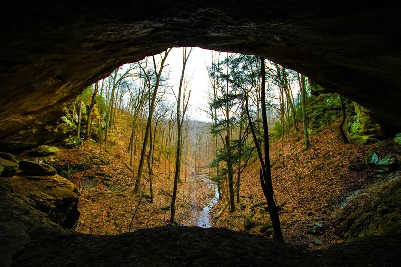 Spelunking and Cave Exploration in the Limestone Country Spelunking and Cave Exploration in the Limestone Country
