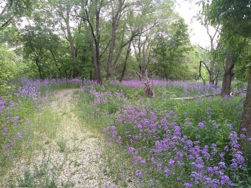 Spring Blooms That Make the Whole Drive Worth It