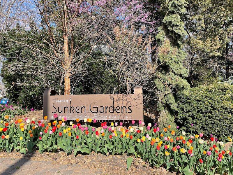 Spring Tulips and the Season That Starts It All Spring Tulips and the Season That Starts It All