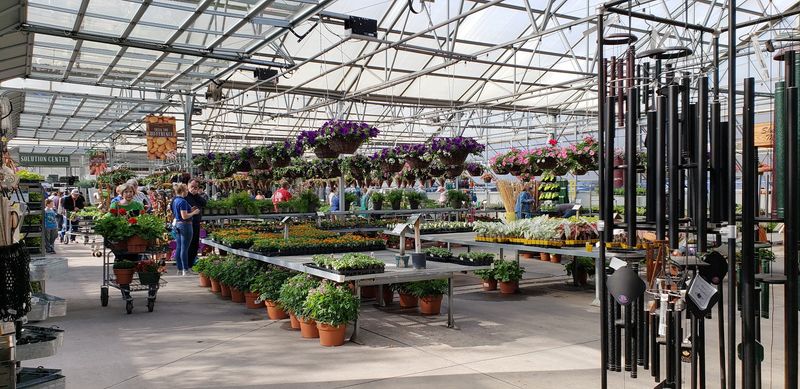 Staff Who Actually Know Their Plants