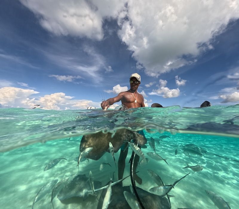 Stingray City - Grand Cayman, Cayman Islands