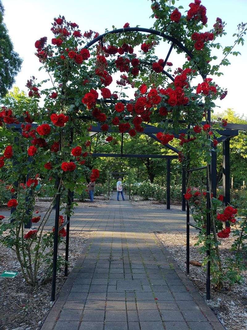 Stroll Through Avery Park and Natural Area
