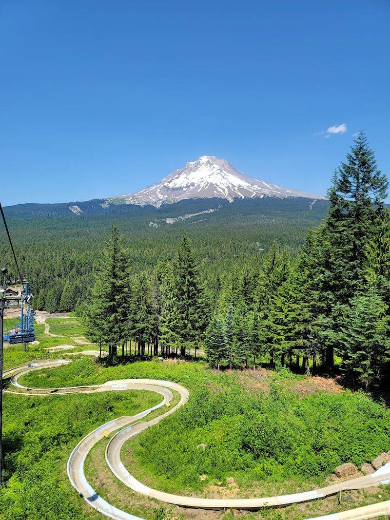 Summer Hiking Trails With Stunning Mt. Hood Views Summer Hiking Trails With Stunning Mt. Hood Views