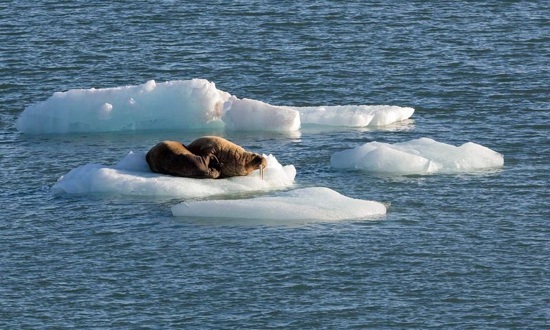 Svalbard, Norway Svalbard, Norway