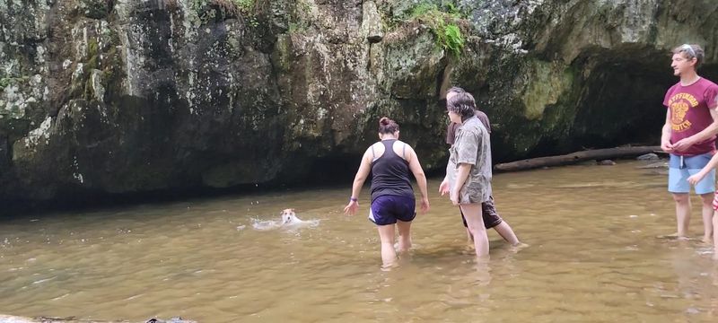 Swimming And Wading In The Pool Below The Falls