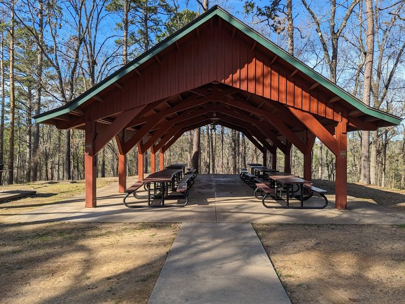 Swimming Beach and Picnic Areas: Where Families Spend Their Afternoons