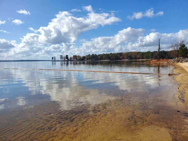 Swimming Beaches That Surprise First-Timers