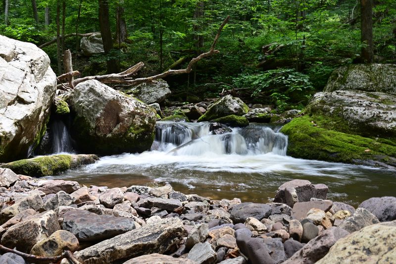 Swimming Holes and Water Features Swimming Holes and Water Features