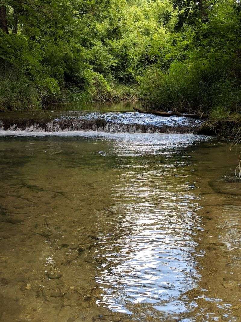 Swimming and Wading: What to Expect in the Water
