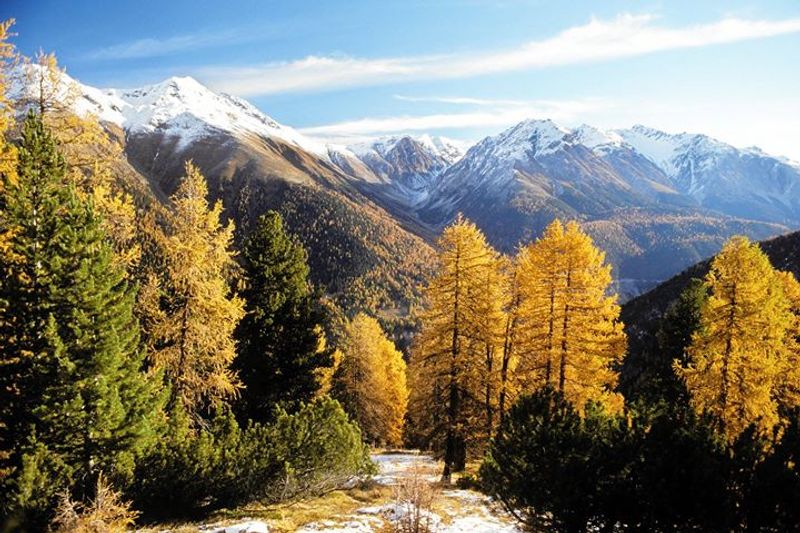 Swiss National Park, Switzerland