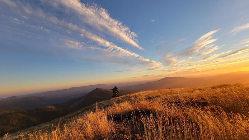Take in the Views at Marys Peak