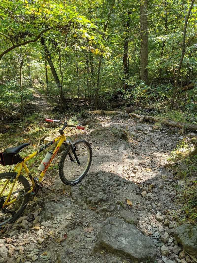 Taking On the DeClue Trail's Rocky Challenge