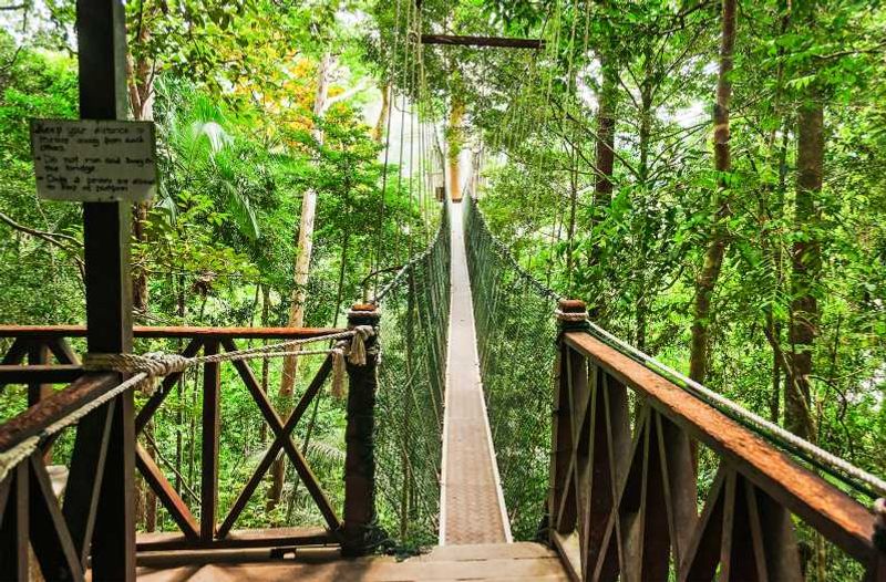 Taman Negara, Malaysia Taman Negara, Malaysia