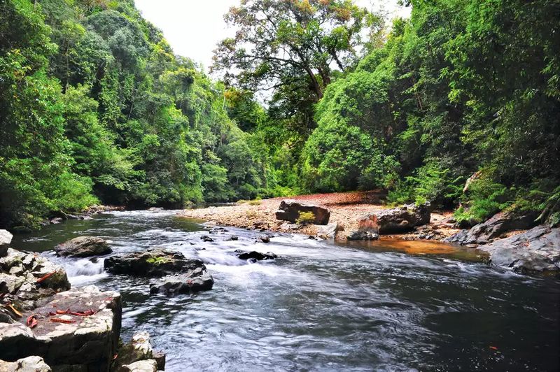 Taman Negara, Pahang, Malaysia