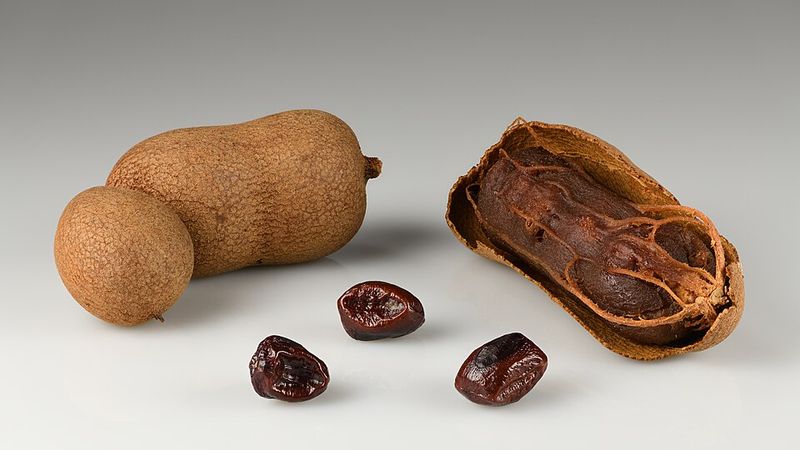 Tamarind Seed and Other Bold Flavors