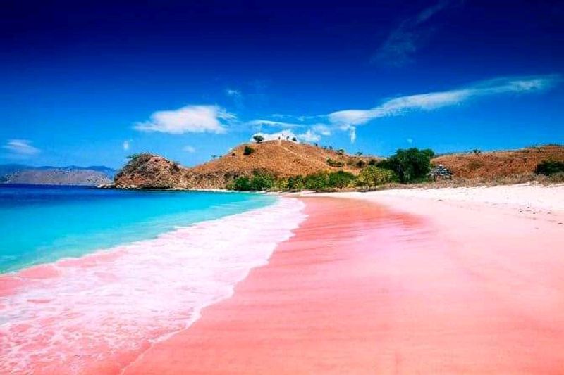 Tangsi Beach (Pink Beach), Lombok, Indonesia Tangsi Beach (Pink Beach), Lombok, Indonesia