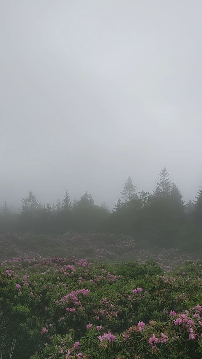 Temperatures at the Summit: Pack Accordingly Temperatures at the Summit: Pack Accordingly