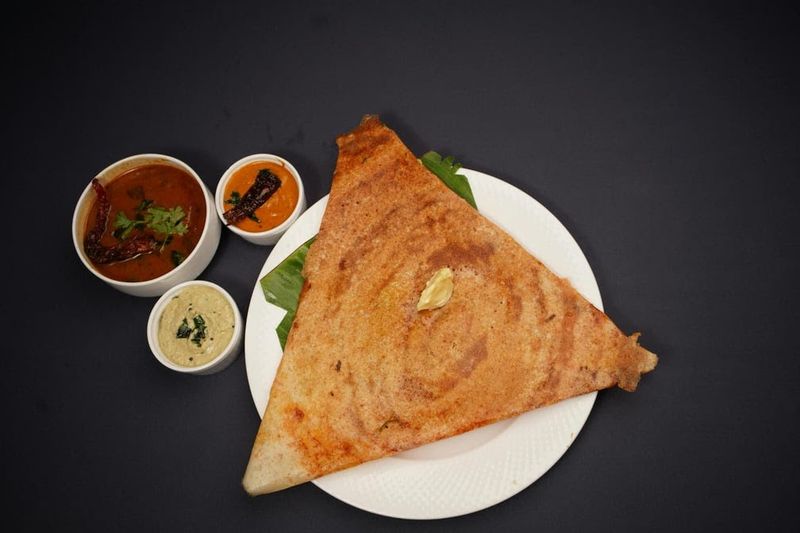 Thalaivas Indian Kitchen — Park Ridge, Illinois Thalaivas Indian Kitchen — Park Ridge, Illinois