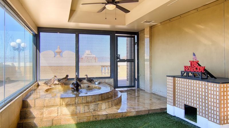 The $200,000 Rooftop Duck Palace