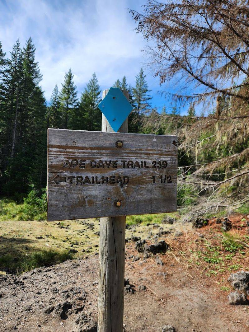 The Above-Ground Trail Back From the Upper Cave Exit