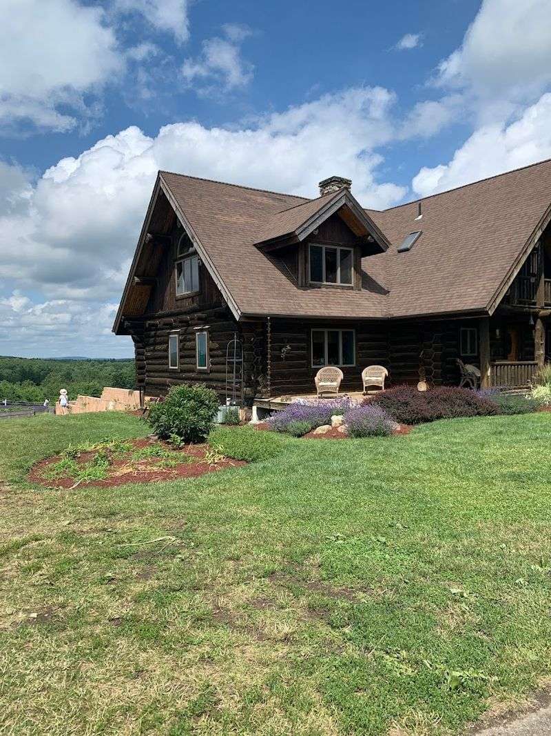 The Airbnb Stay: Spending the Night on the Farm