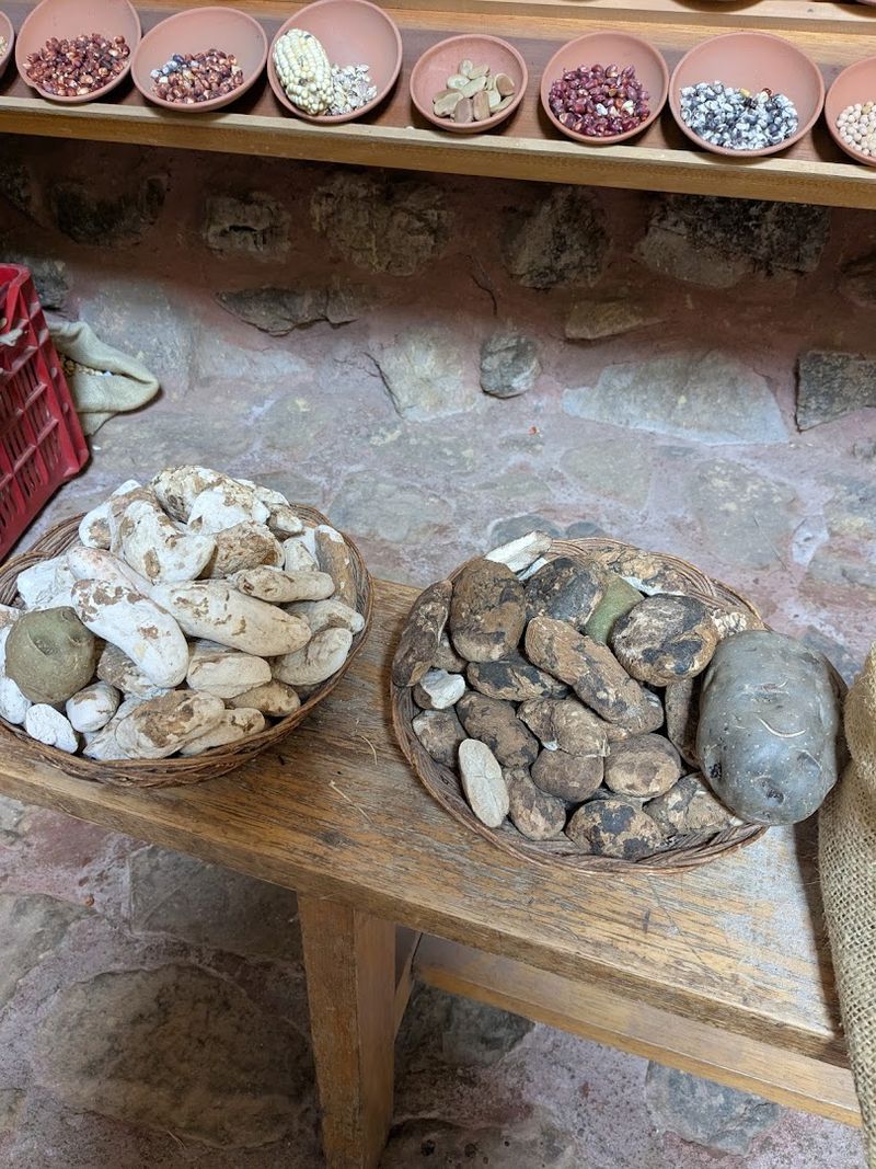 The Ancient Freeze-Drying Technique That Predates Modern Food Science The Ancient Freeze-Drying Technique That Predates Modern Food Science