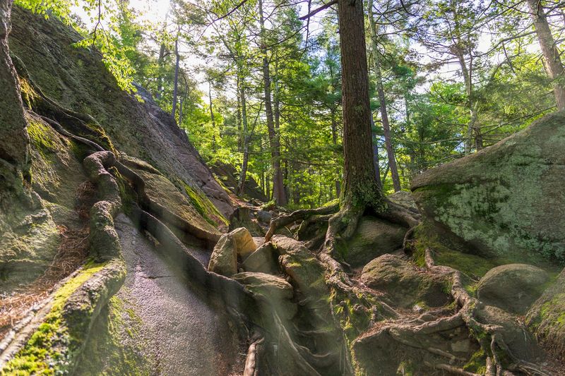 The Ancient Geology Behind the Chasm The Ancient Geology Behind the Chasm
