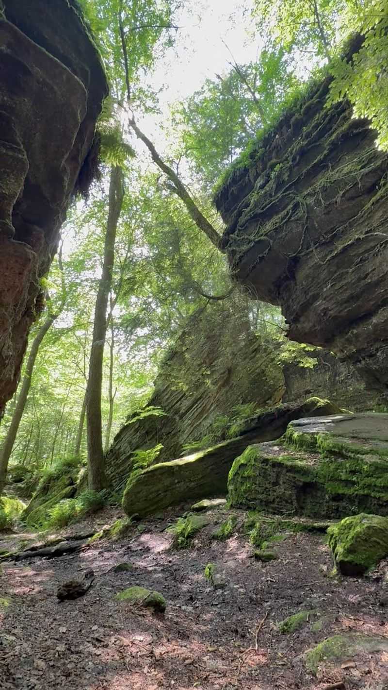 The Ancient Geology Behind the Rocks