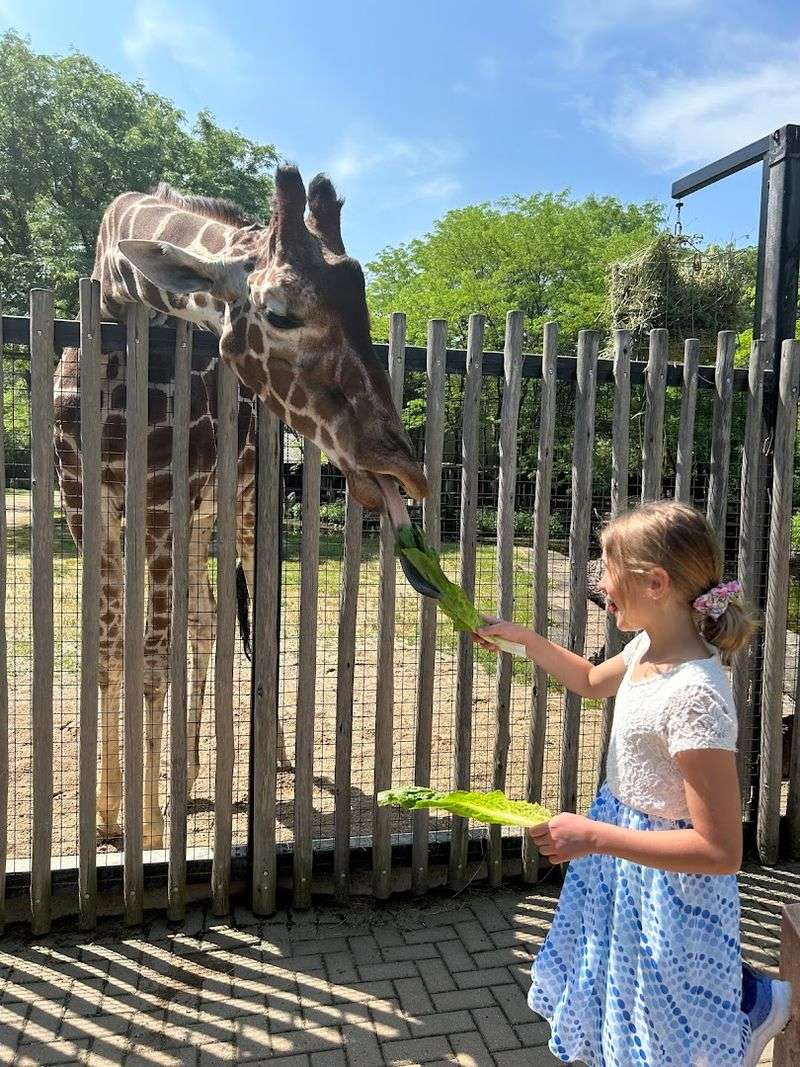 The Animals You Will Actually See Up Close The Animals You Will Actually See Up Close