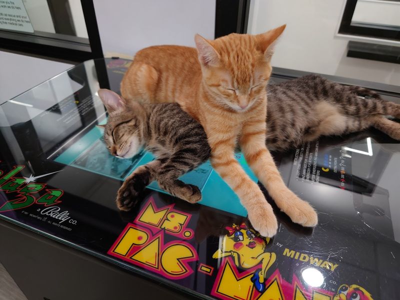 The Arcade Games Add a Fun Twist