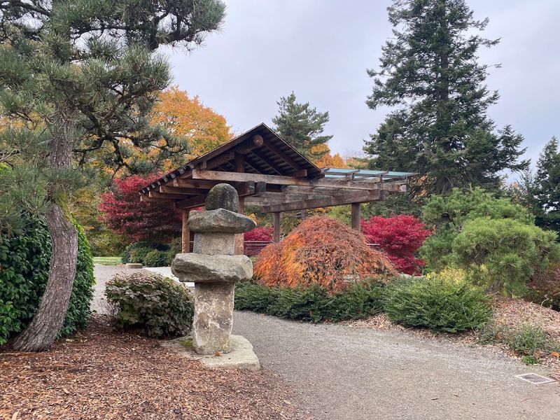 The Art of Japanese Garden Design on Display