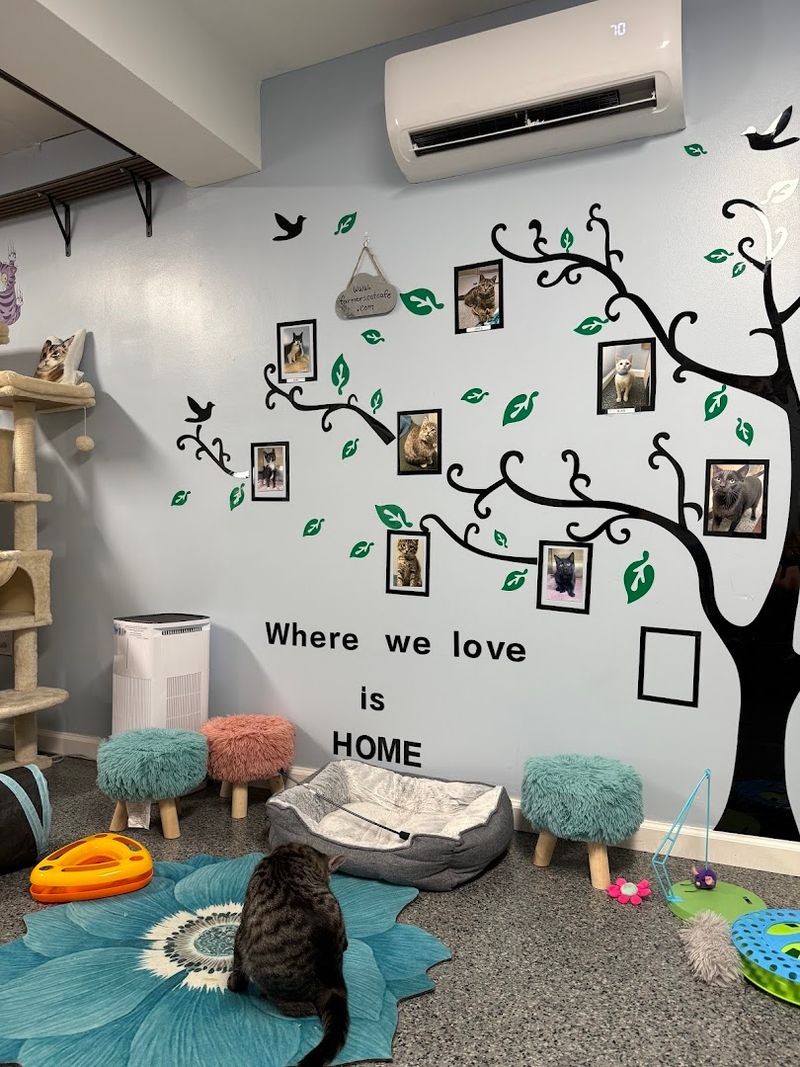 The Atmosphere and Interior Design