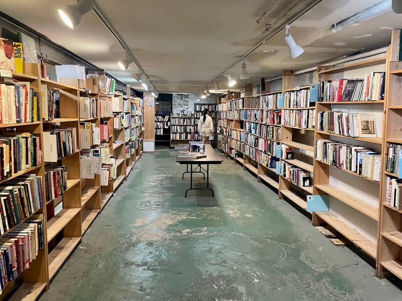 The Basement: A Hidden World for Genre Fans The Basement: A Hidden World for Genre Fans