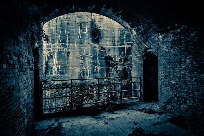 The Bat Tours That Turn the Fort Eerie After Dark The Bat Tours That Turn the Fort Eerie After Dark